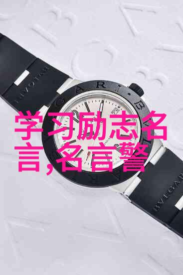 冈察尔名言..
